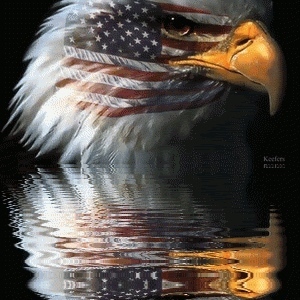 Profile image for ComebackPatriot