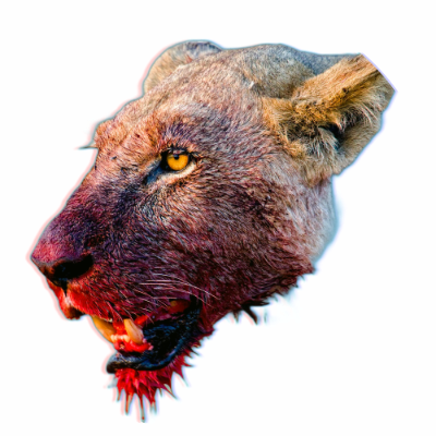 TruthSocial profile picture for @preferred