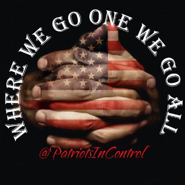 Profile image for Patriots In Control 🇺🇸