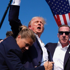 Donald Trump News (@donaldtrumpnews)