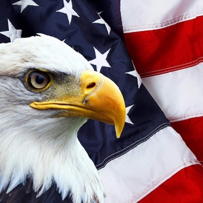 Profile image for Jamgabbi ❤️🇺🇸💯
