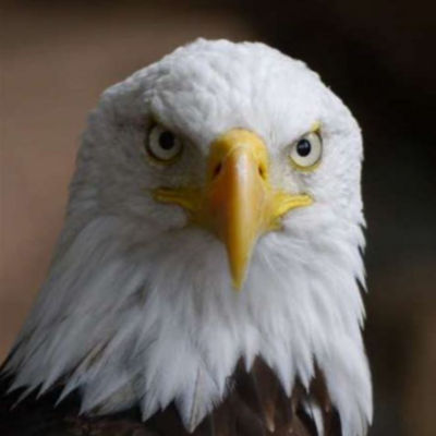 FreeSociety101 (@FreeSociety101)