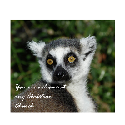 Thelemur (@Thelemur)