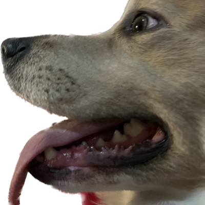 TruthSocial profile picture for @Sweaters