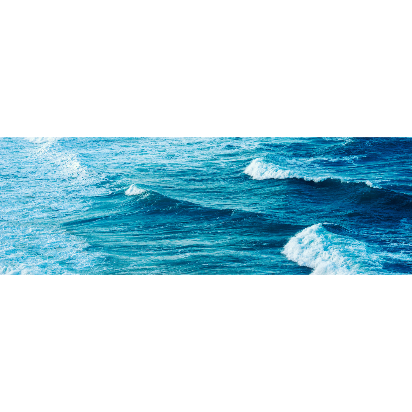 TruthSocial banner for @alexandra