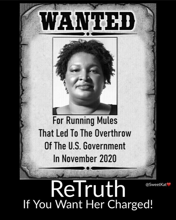 "Wanted poster with a black-and-white photo of a woman. The text reads: 'WANTED For Running Mules That Led To The Overthrow Of The U.S. Government In November 2020.' Below the poster, additional text says: 'ReTruth If You Want Her Charged!' The image includes the username '@SweetKat' with a heart emoji."