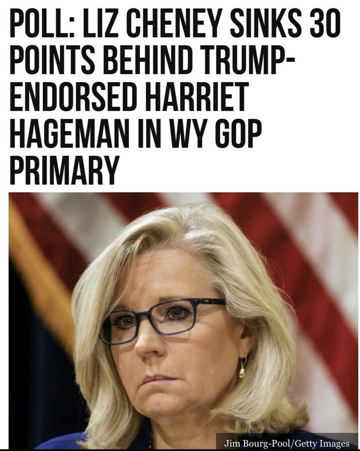 Poll shows Liz Cheney trailing by 30 points behind Trump-endorsed Harriet Hageman in Wyoming GOP primary; close-up of Liz Cheney looking serious.