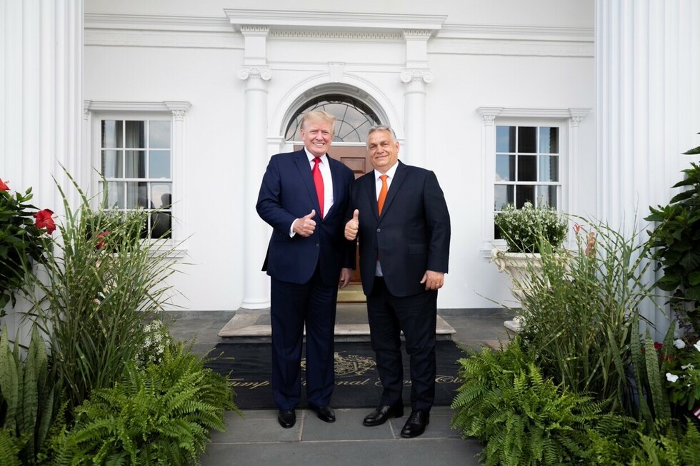 Two men in formal attire stand side by side in front of a white building with columns and two windows. Both men are giving a thumbs-up gesture and smiling at the camera. The setting includes lush greenery and flower arrangements near the foreground.