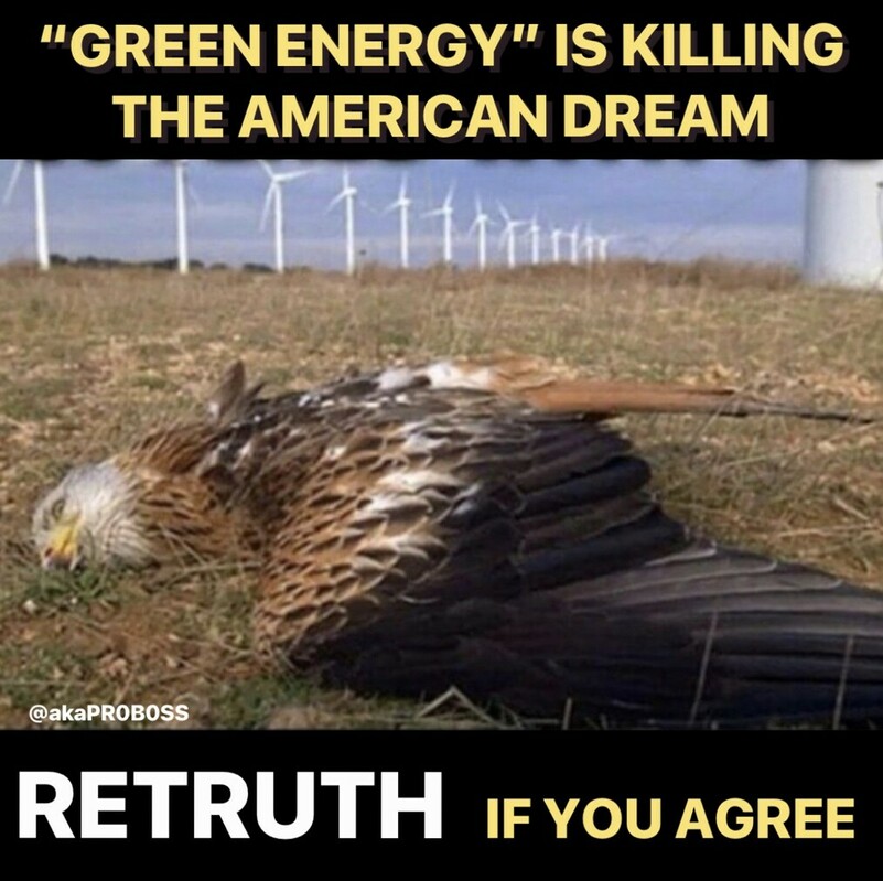 Text reading "GREEN ENERGY IS KILLING THE AMERICAN DREAM" at the top, an image of a dead bird on grass with wind turbines in the background, watermark "@akaPROBOSS" in the bottom left corner, text reading "RETRUTH IF YOU AGREE" at the bottom.