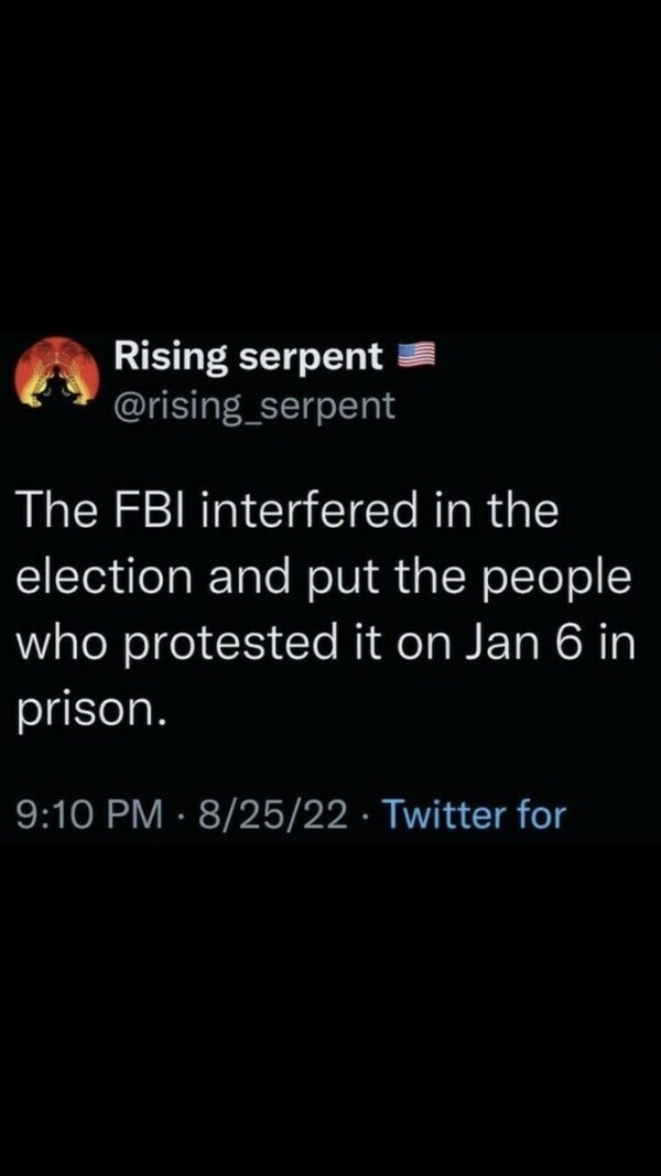 Tweet from @rising_serpent stating, "The FBI interfered in the election and put the people who protested it on Jan 6 in prison." Posted on 08/25/22 at 9:10 PM.