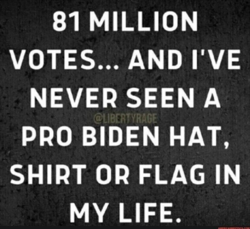 "81 million votes... AND I'VE NEVER SEEN A PRO-BIDEN HAT, SHIRT OR FLAG IN MY LIFE." Text by @LIBERTYRAGE on a dark, textured background.