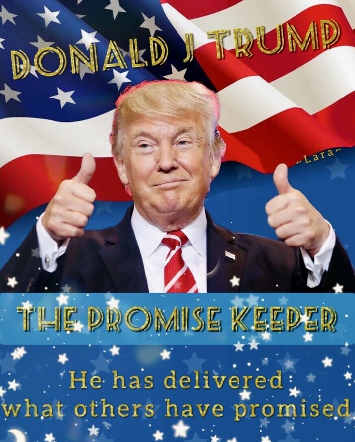Donald J. Trump giving two thumbs up in front of an American flag. Text reads "DONALD J TRUMP," "THE PROMISE KEEPER," and "He has delivered what others have promised." Stars and sparkles adorn the image.