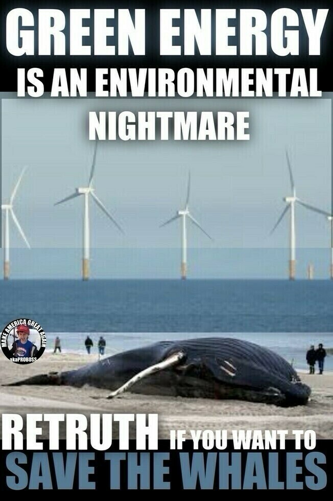 "Green Energy is an environmental nightmare," text over a background image of offshore wind turbines; "Retruth if you want to save the whales" text over an image of a beached whale with people observing, along with a logo that has text "Make America Great Again" and "@kaPROBOSS" with an image of a person.