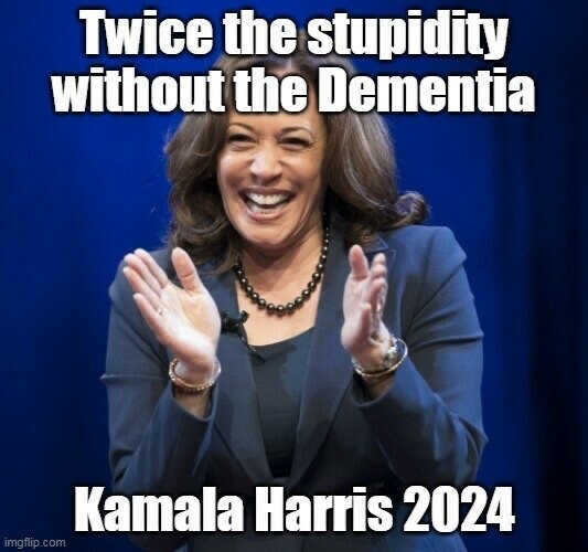 The Trouble with Kamala - Page 4 4199a9c35c1ee48a