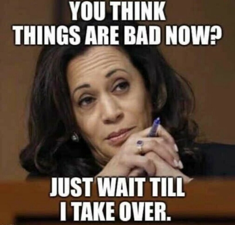 A woman with long, dark hair is looking thoughtfully to the side while holding a pen. The text over the image reads, "You think things are bad now? Just wait till I take over."