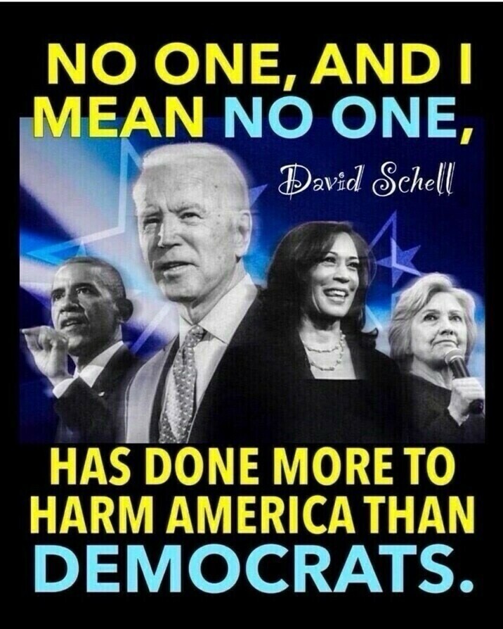 Political propaganda image featuring prominent Democratic figures with the message: "No one, and I mean no one, has done more to harm America than Democrats."