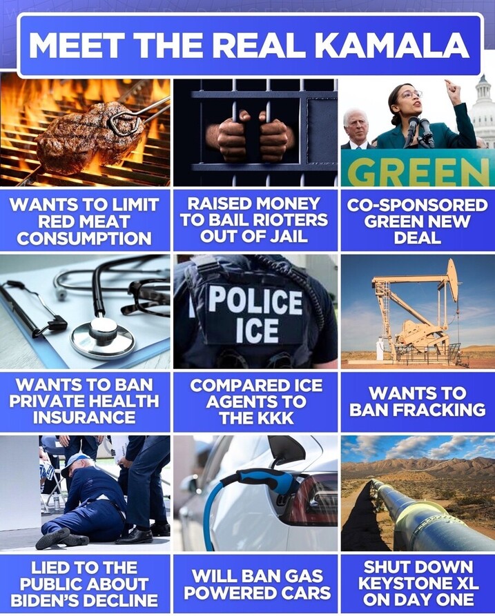 "Meet the Real Kamala" text at the top of the image. Six pairs of images and captions below: 
1. Grilled steak with caption "Wants to limit red meat consumption."
2. Hands holding jail cell bars with caption "Raised money to bail rioters out of jail."
3. Media event with a woman speaking at a podium with "Green New Deal" in background and caption "Co-Sponsored Green New Deal."
4. Stethoscope on a desk with caption "Wants to ban private health insurance."
5. ICE officer with caption "Compared ICE agents to the KKK."
6. Oil rig with caption "Wants to ban fracking."
7. Person on the ground being assisted, caption "Lied to the public about Biden's decline."
8. Electric car being charged with caption "Will ban gas powered cars."
9. Pipeline with caption "Shut down Keystone XL on day one."