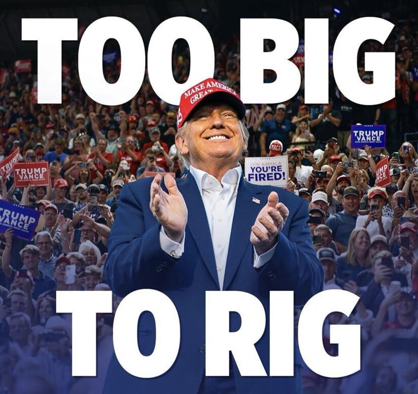 A man wearing a red "Make America Great Again" hat is clapping in front of a large crowd holding signs, with the text "TOO BIG TO RIG" prominently displayed above him.
