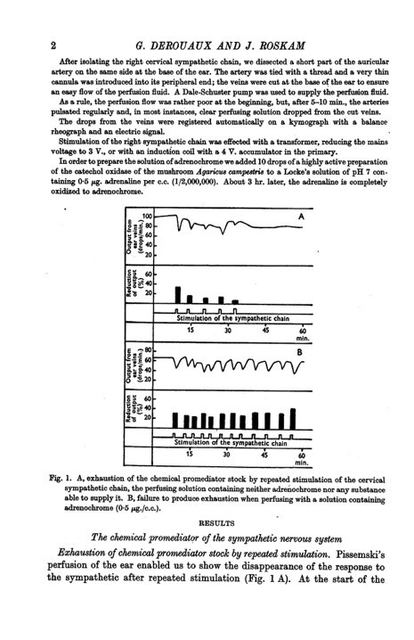 Adrenochrome 387f03875aa5835e