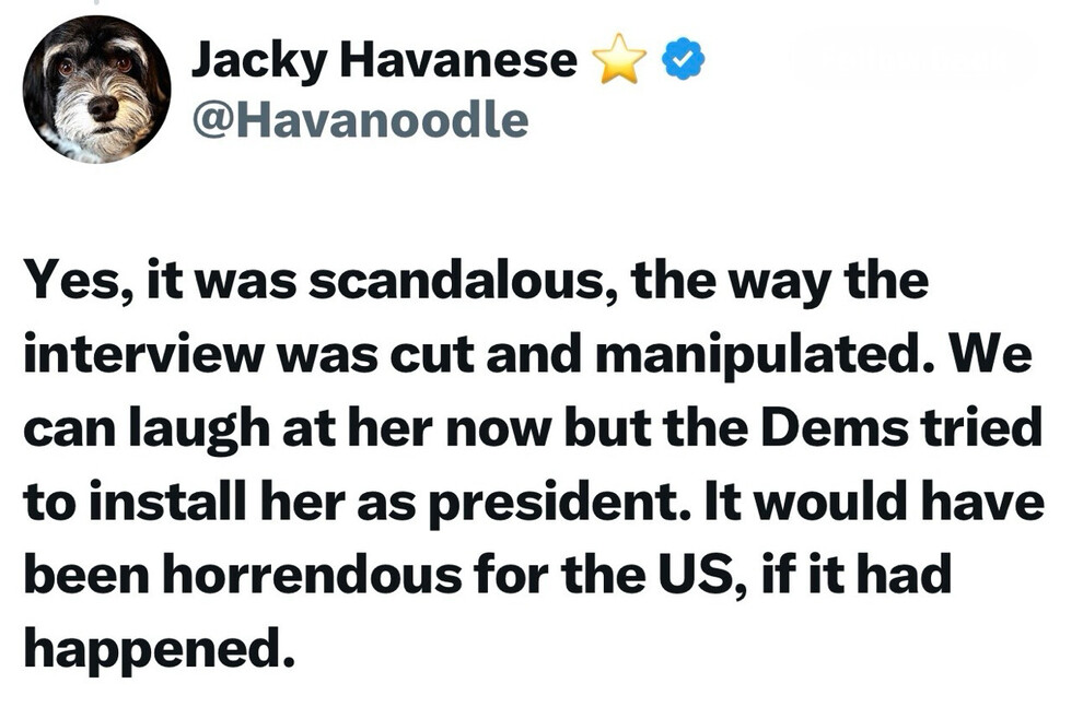 Tweet by a user with the handle @Havanoodle, featuring a profile picture of a dog. The tweet discusses a scandal involving a manipulated interview, expressing relief that a certain individual was not installed as president, suggesting it would have been negative for the US.