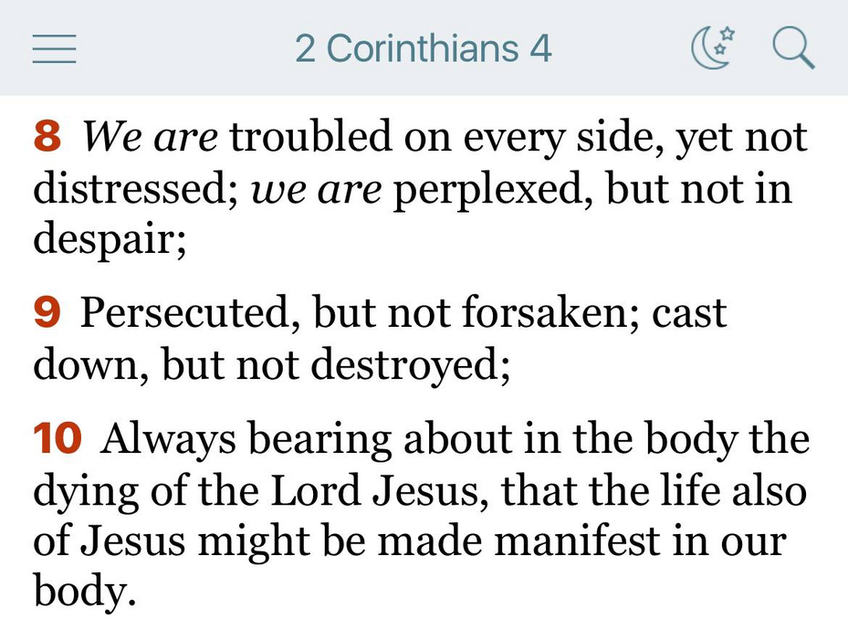 Tiffany Virili (@tiffanyrogato)