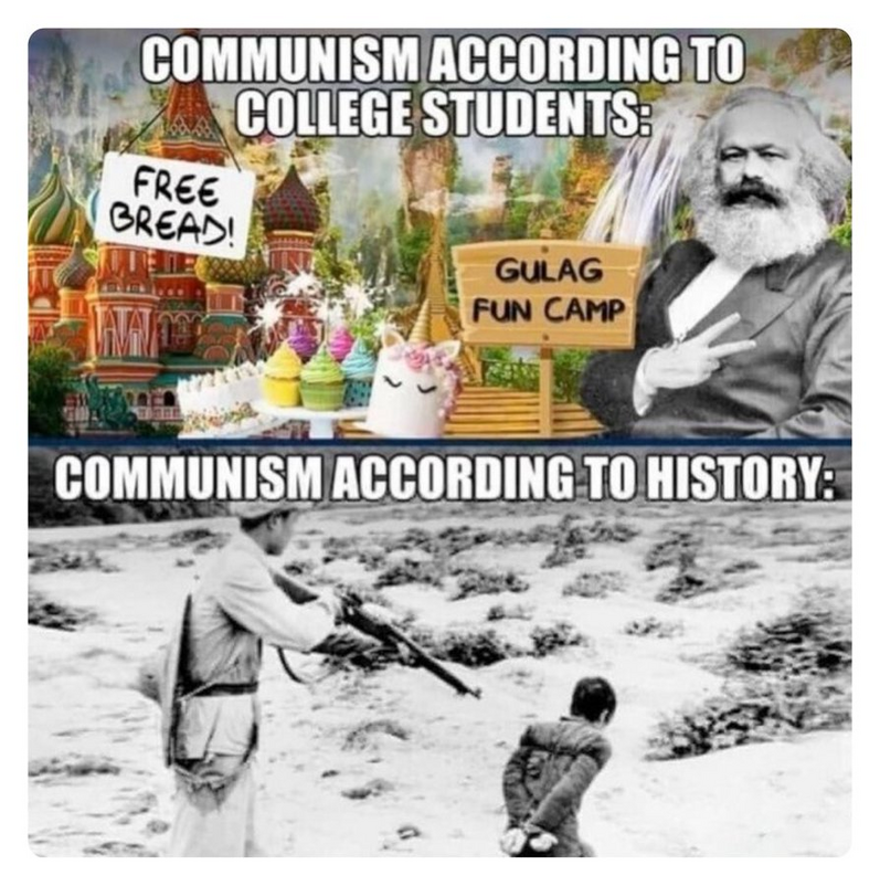 Diane 🩸 🗽. (@Brn2Wander)