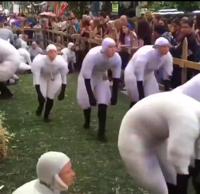 Ewegot🇺🇸 (@GNorberg)