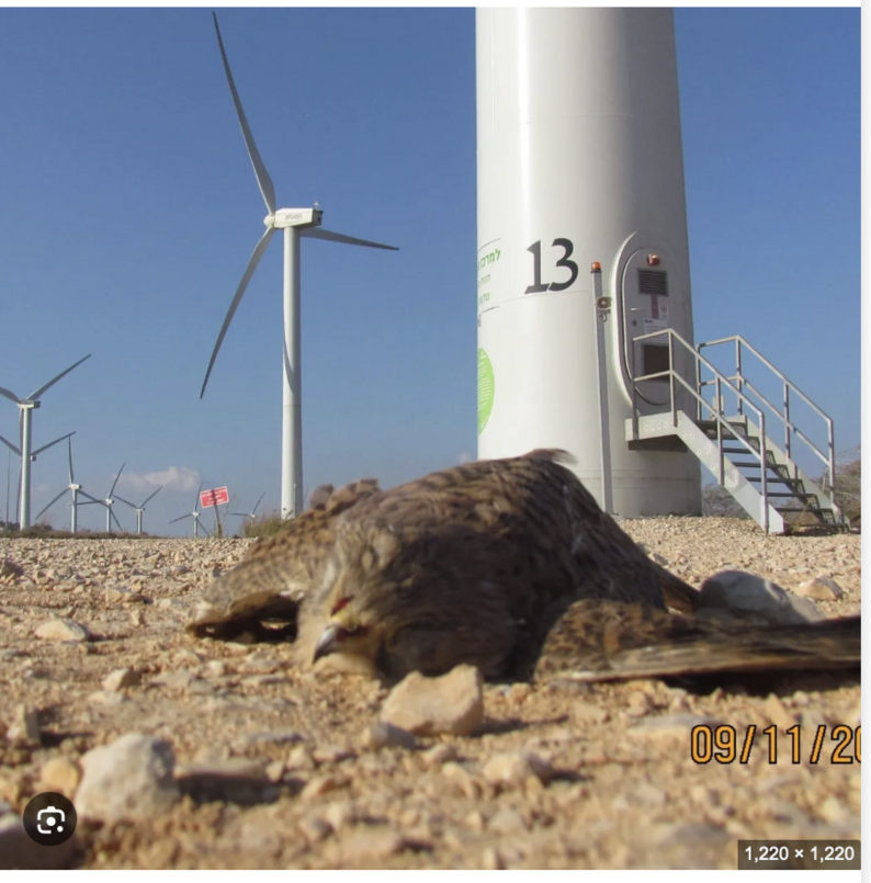 Donald J. Trump (@realDonaldTrump)