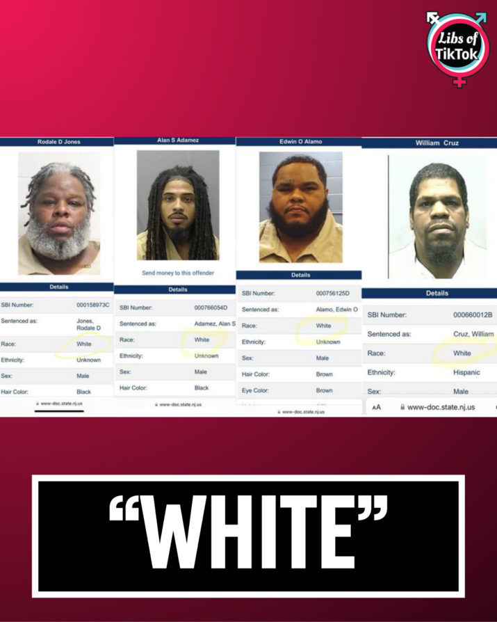 Libs of TikTok (@libsoftiktok)