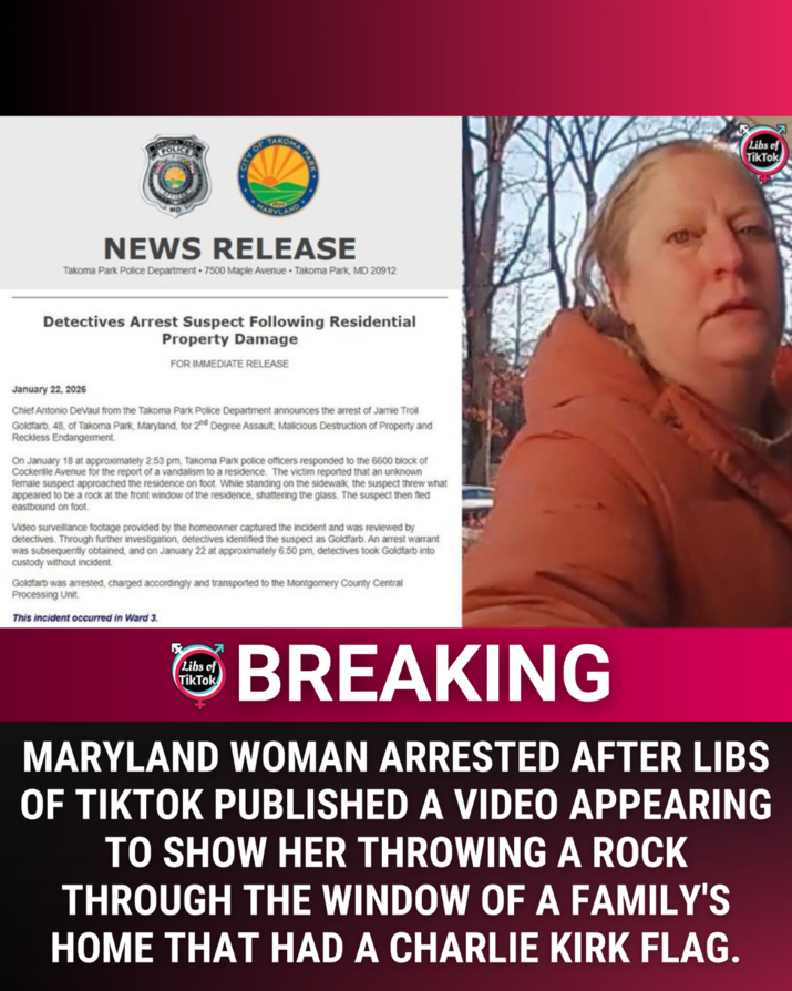 Libs of TikTok (@libsoftiktok)