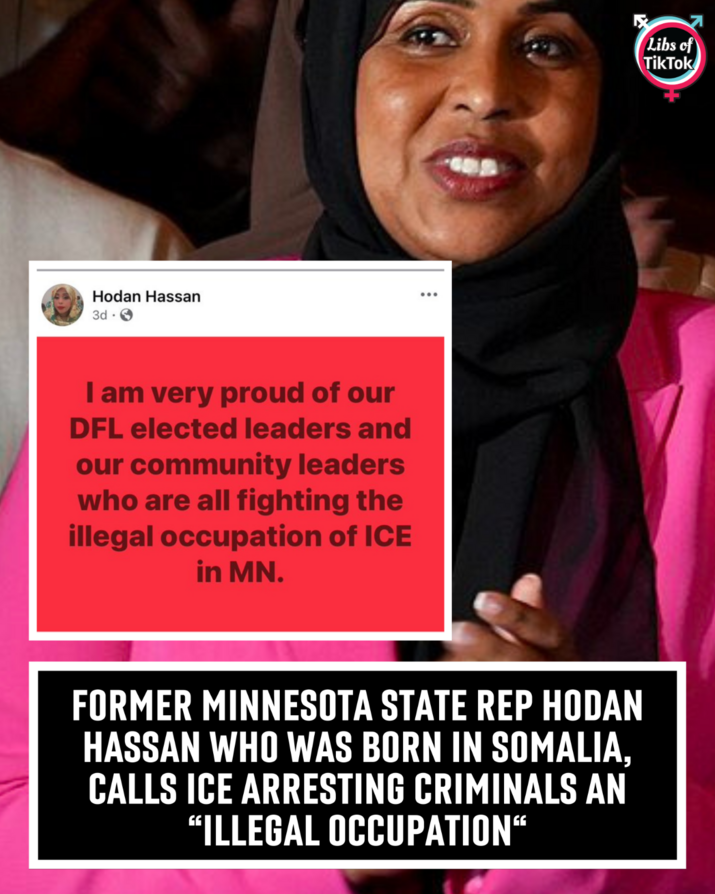 Libs of TikTok (@libsoftiktok)