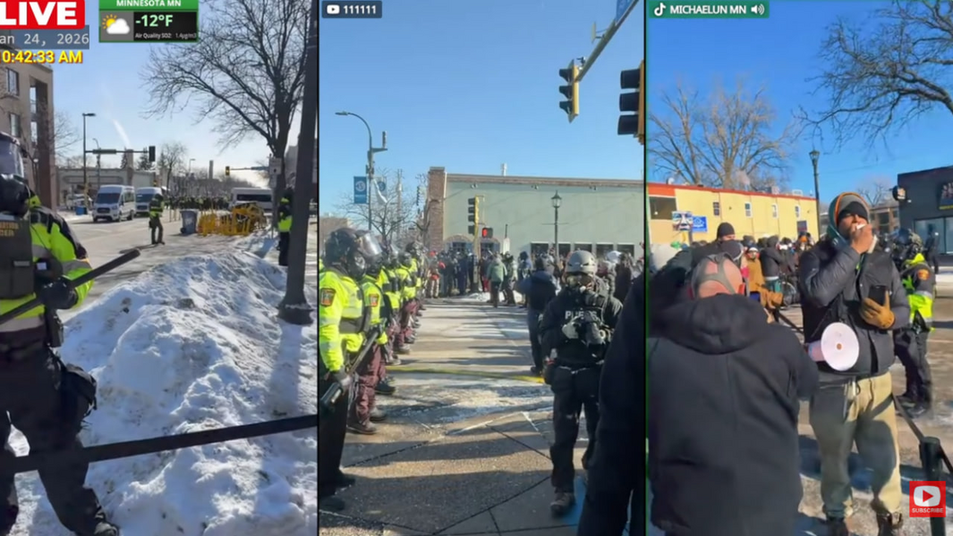 🌺🐝🌿 CapeLady 🌿🐝 🌺 (@DebGC)