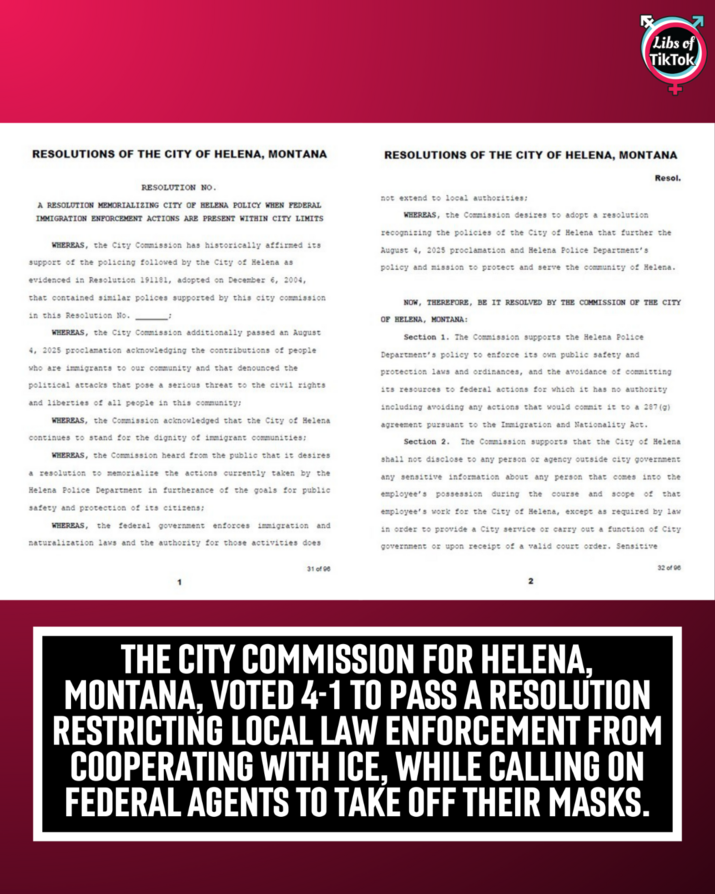 Libs of TikTok (@libsoftiktok)