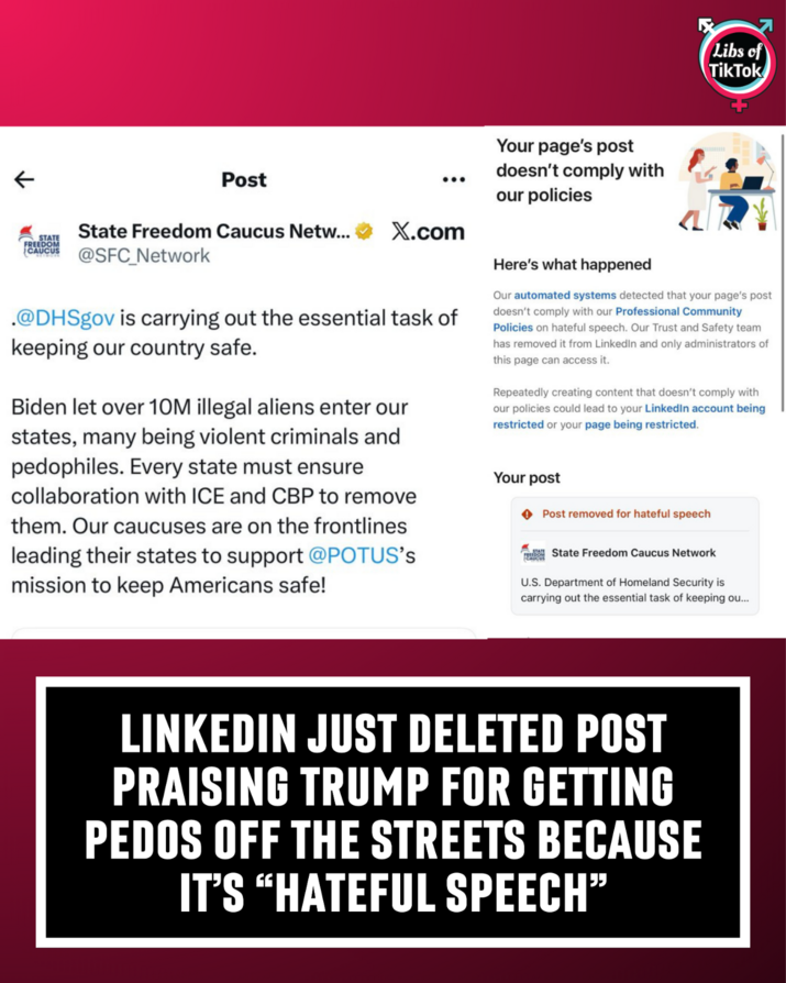 Libs of TikTok (@libsoftiktok)