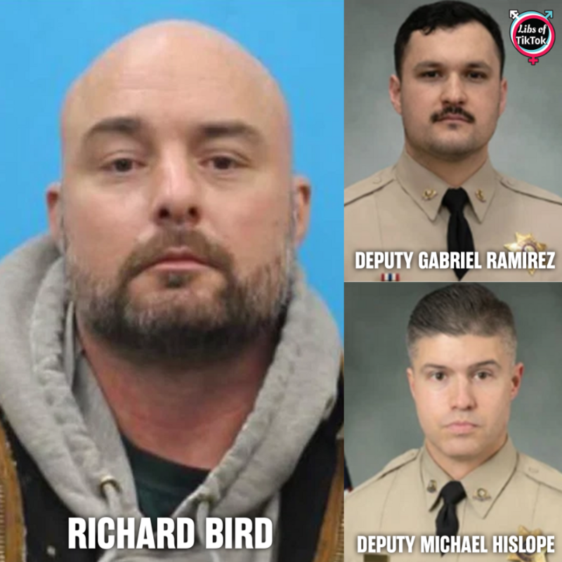 Libs of TikTok (@libsoftiktok)