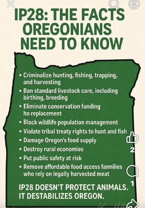 KrissyB007 (@KrissyB007)