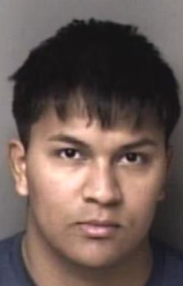 Libs of TikTok (@libsoftiktok)