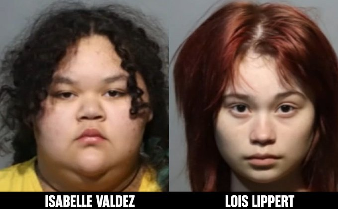 Libs of TikTok (@libsoftiktok)