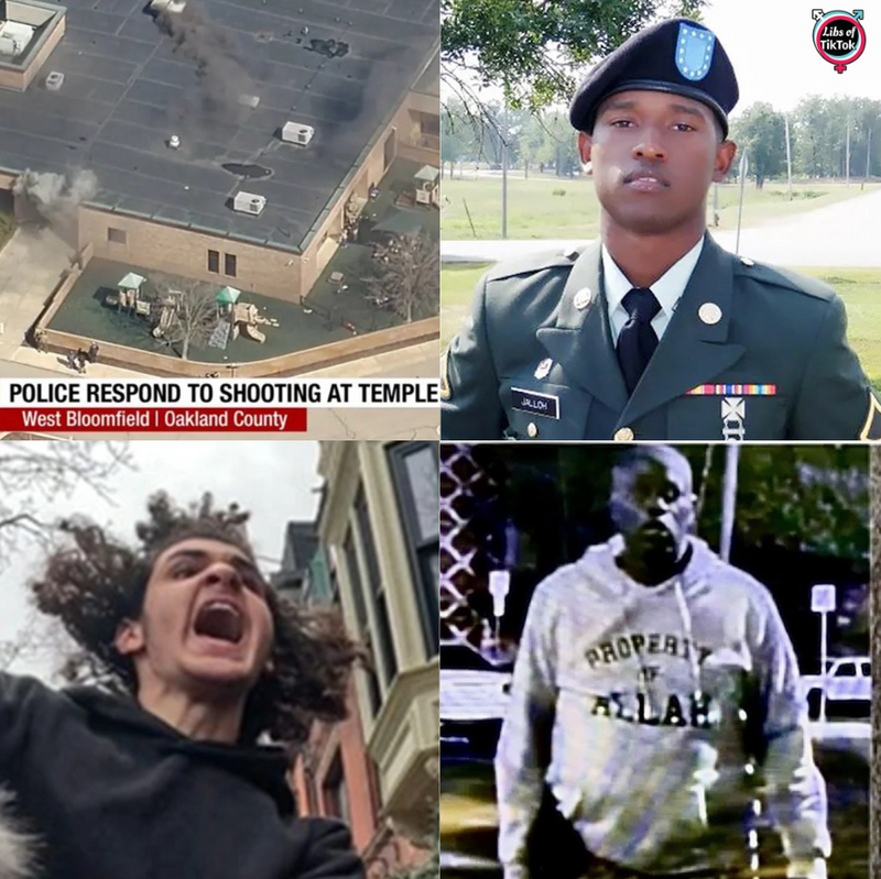 Libs of TikTok (@libsoftiktok)