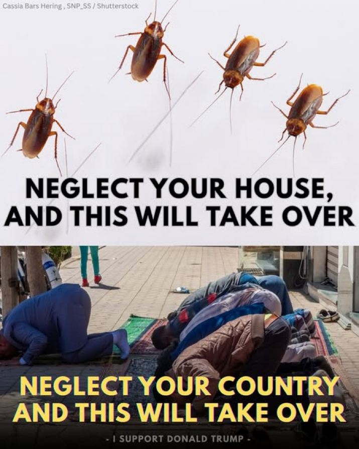 BeBraveWiseBold (@BeBraveWiseBold)