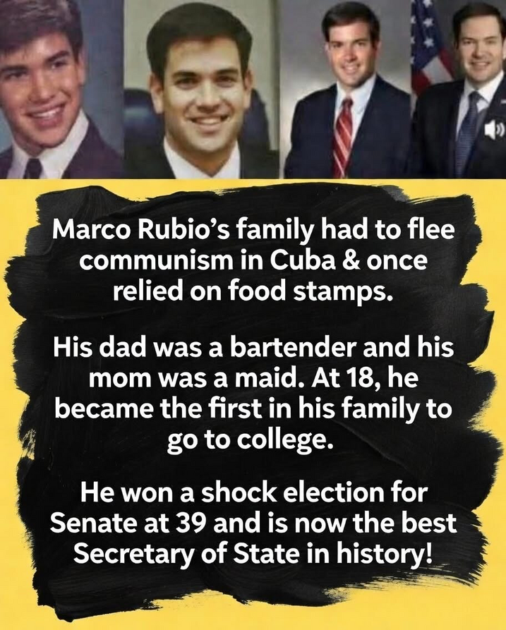 🔥 Extremely Stable Genius 🔥 (@mazurikl)