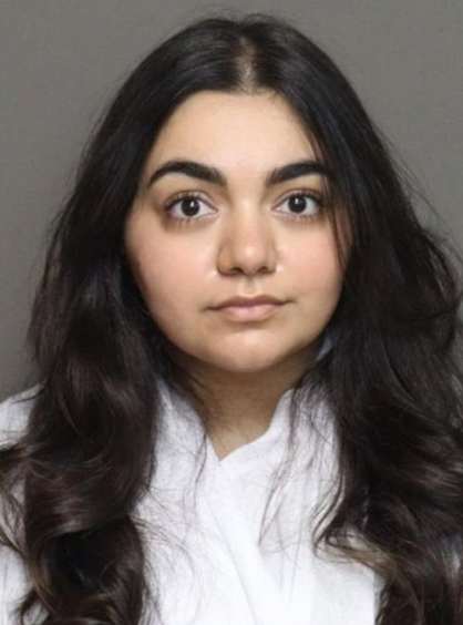 Libs of TikTok (@libsoftiktok)