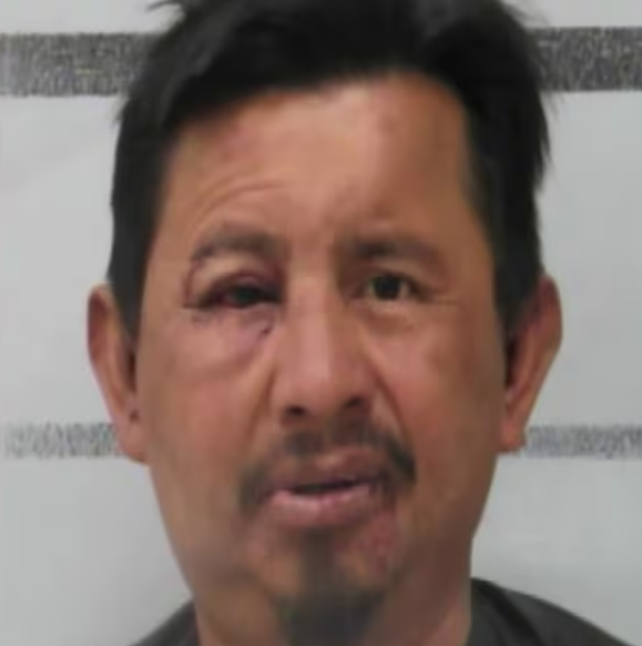 Libs of TikTok (@libsoftiktok)