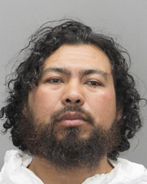 Libs of TikTok (@libsoftiktok)