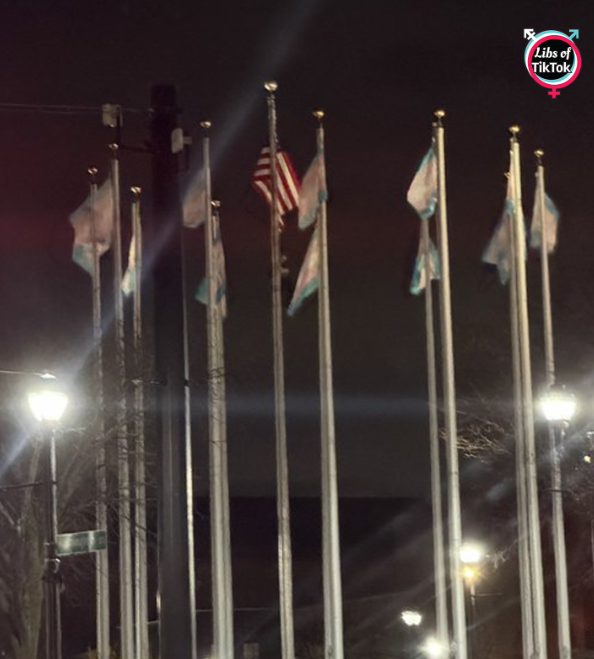 Libs of TikTok (@libsoftiktok)