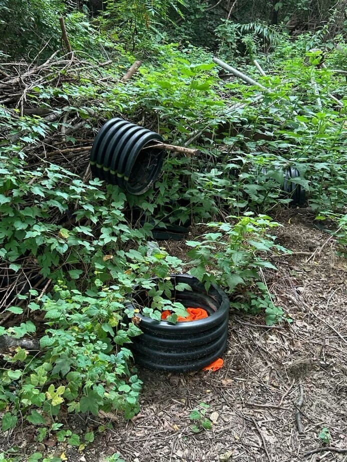 Image attached to this post